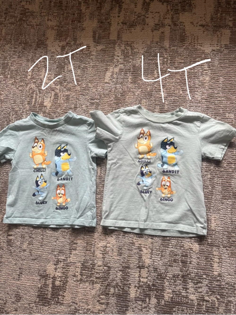 Kids Blue Green Graphic Tee - Bluey